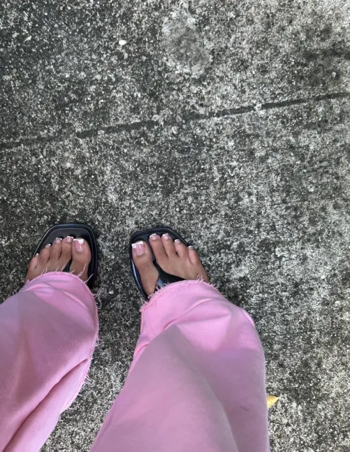 Frenchies by princessesa1