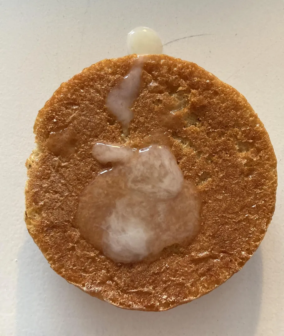 Fresh cum cookie posted by WitteTonnieOfWel