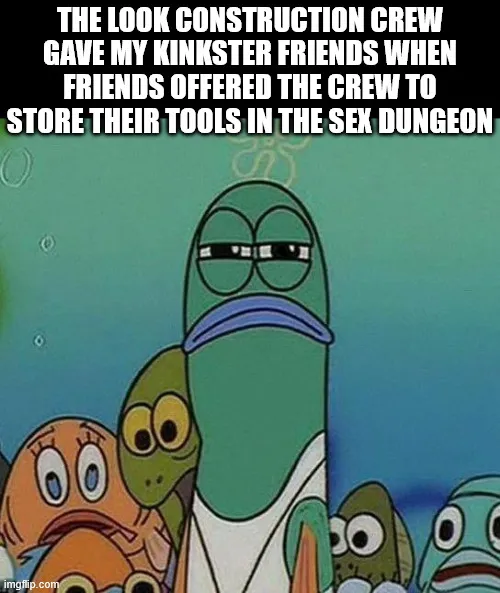 Friends are renovating their house's roof and the workers were confused about them having a sex dungeon. posted by MaetelofLaMetal