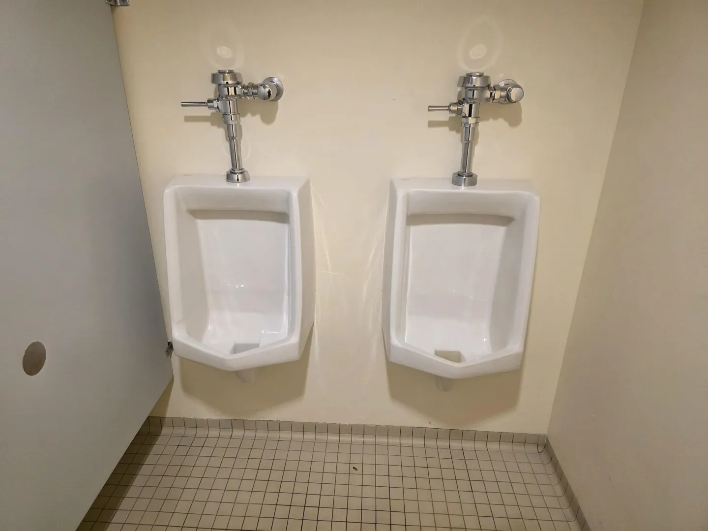 From a NY State Park posted by No-Anywhere-2756