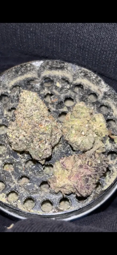 Frosty buds by asmodeusdeveraux