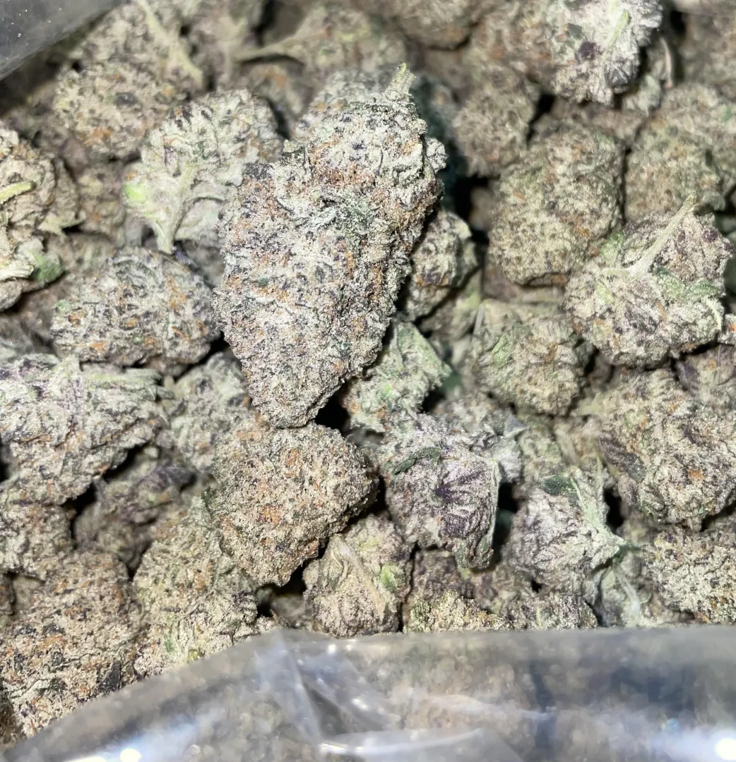 Frosty vanilla ⛽️ posted by CorrectQuality768