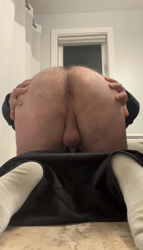 Fuck my hairy ass and stretch it while my wife watches  by AdvisorAway5830