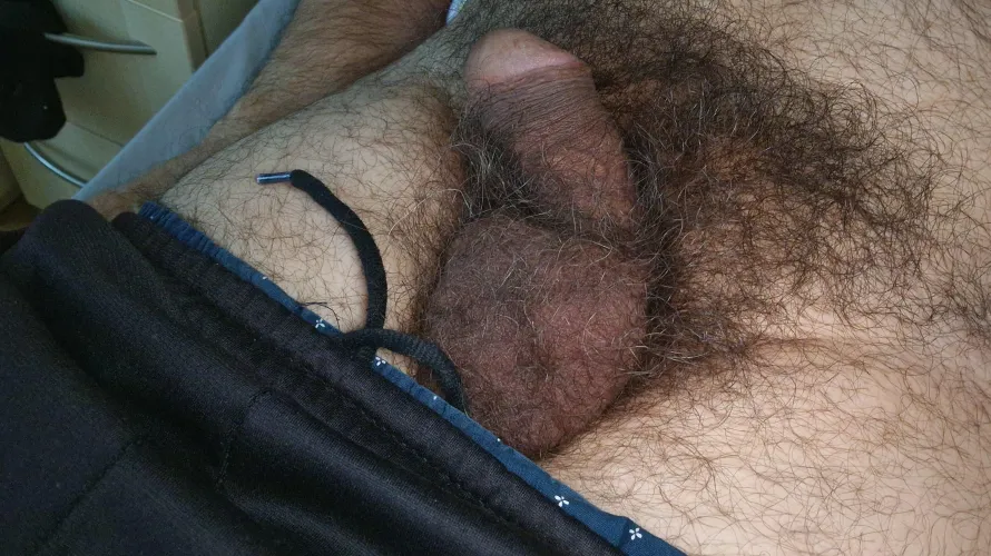 Full bush cock by Huge_Permit3288