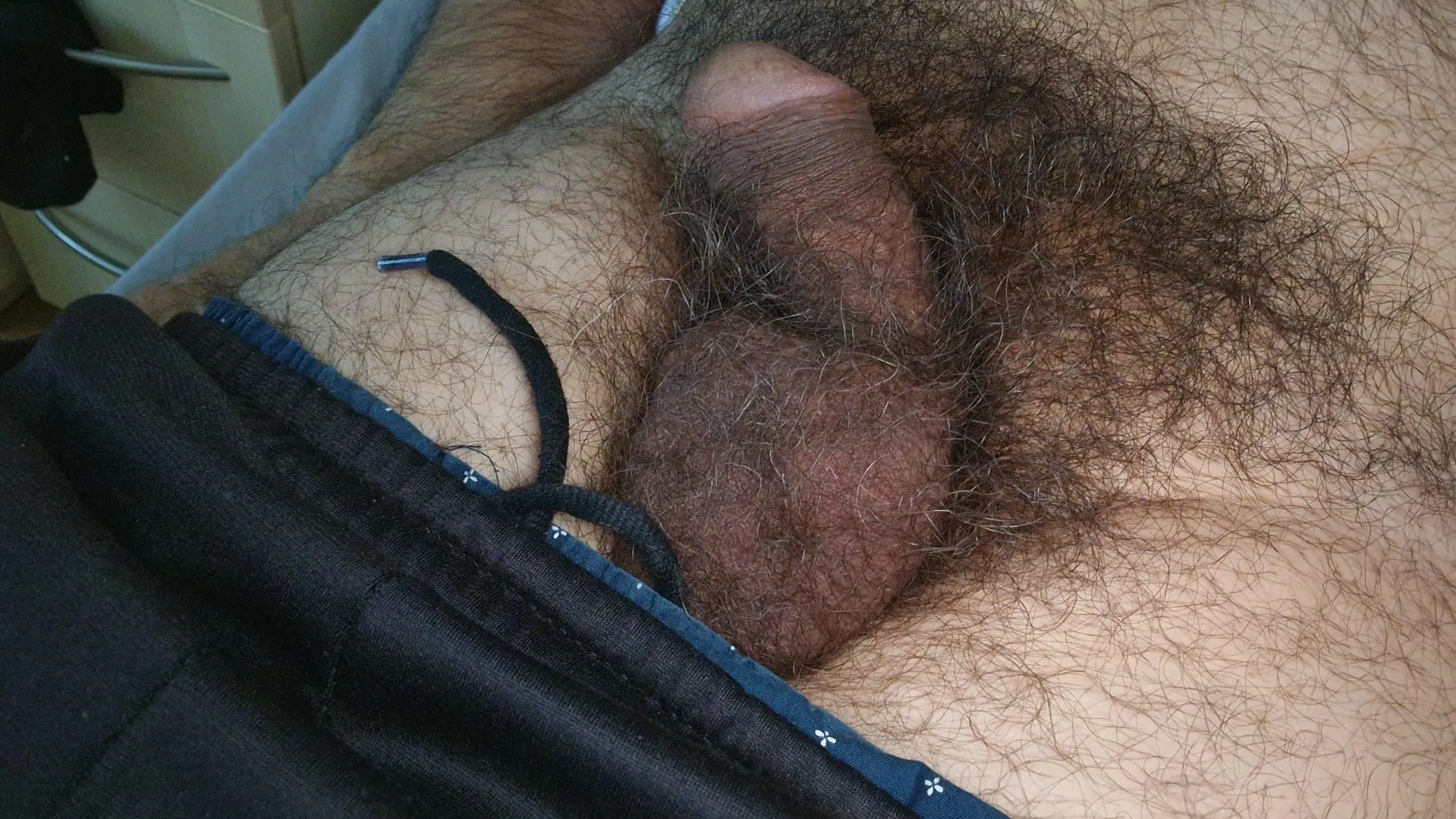 Full bush cock posted by Huge_Permit3288