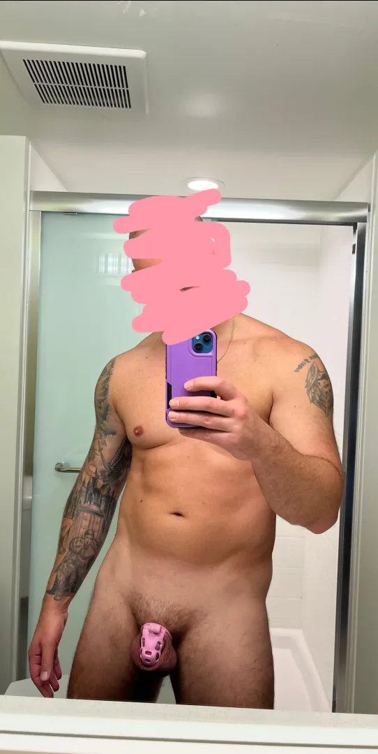 Fully visible, fully restrained. My wife decides what I deserve today. posted by Belle_BlueXXX