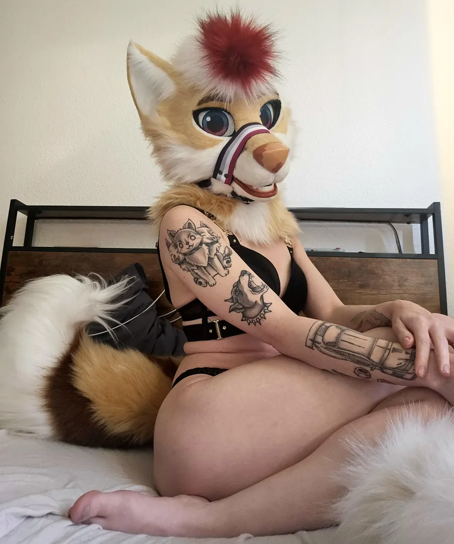 Fursuitfriday ♡ [MerciRox - Me] posted by LadyColorful