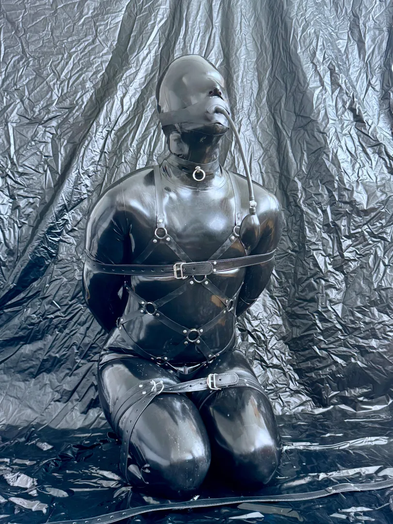 Gaged and enclosed posted by dark_rubber