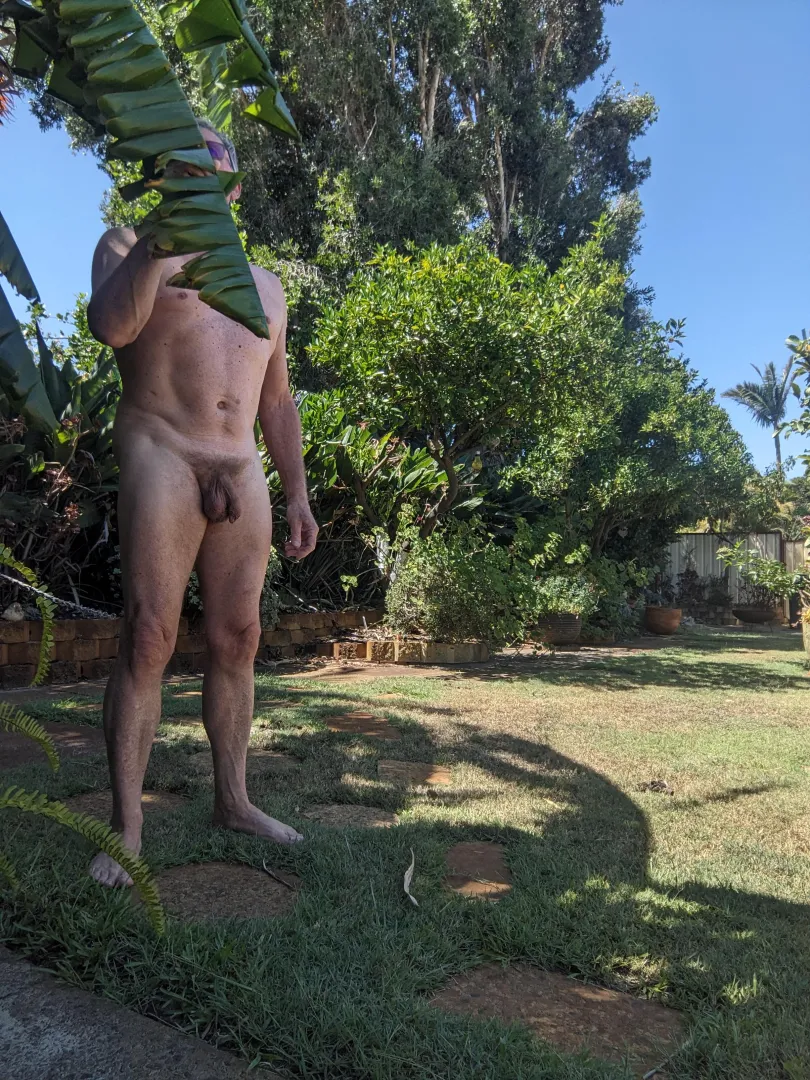 Gardening in February at 27c, beautiful weather. posted by WestWorldAU