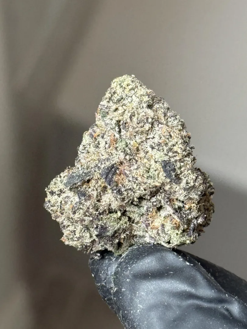 Garys Candy posted by D-F-W-K-I-N-G