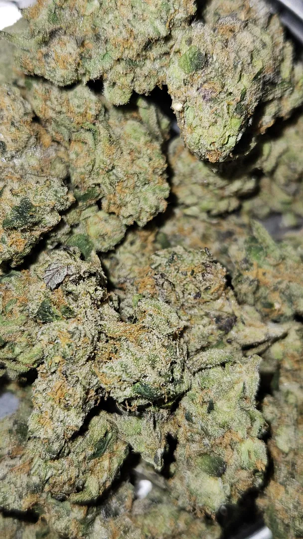 GAS MASK posted by philmoorebuttz