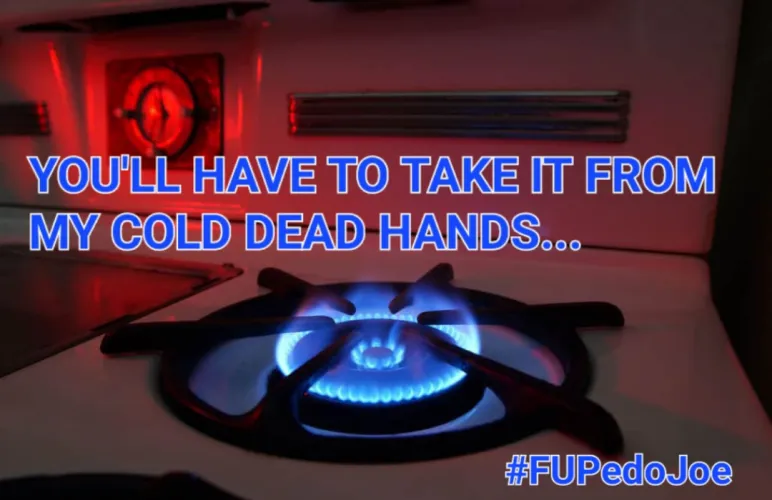 gas stove ban my ass... by buzzinaz