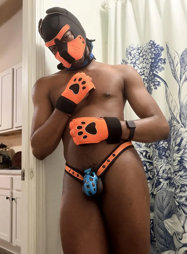 Gearing up every time my cage tightens  posted by MyOwnLittleBiome