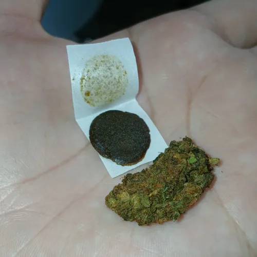 gelo de 50 e flor de 10 by Fun-Tip3903