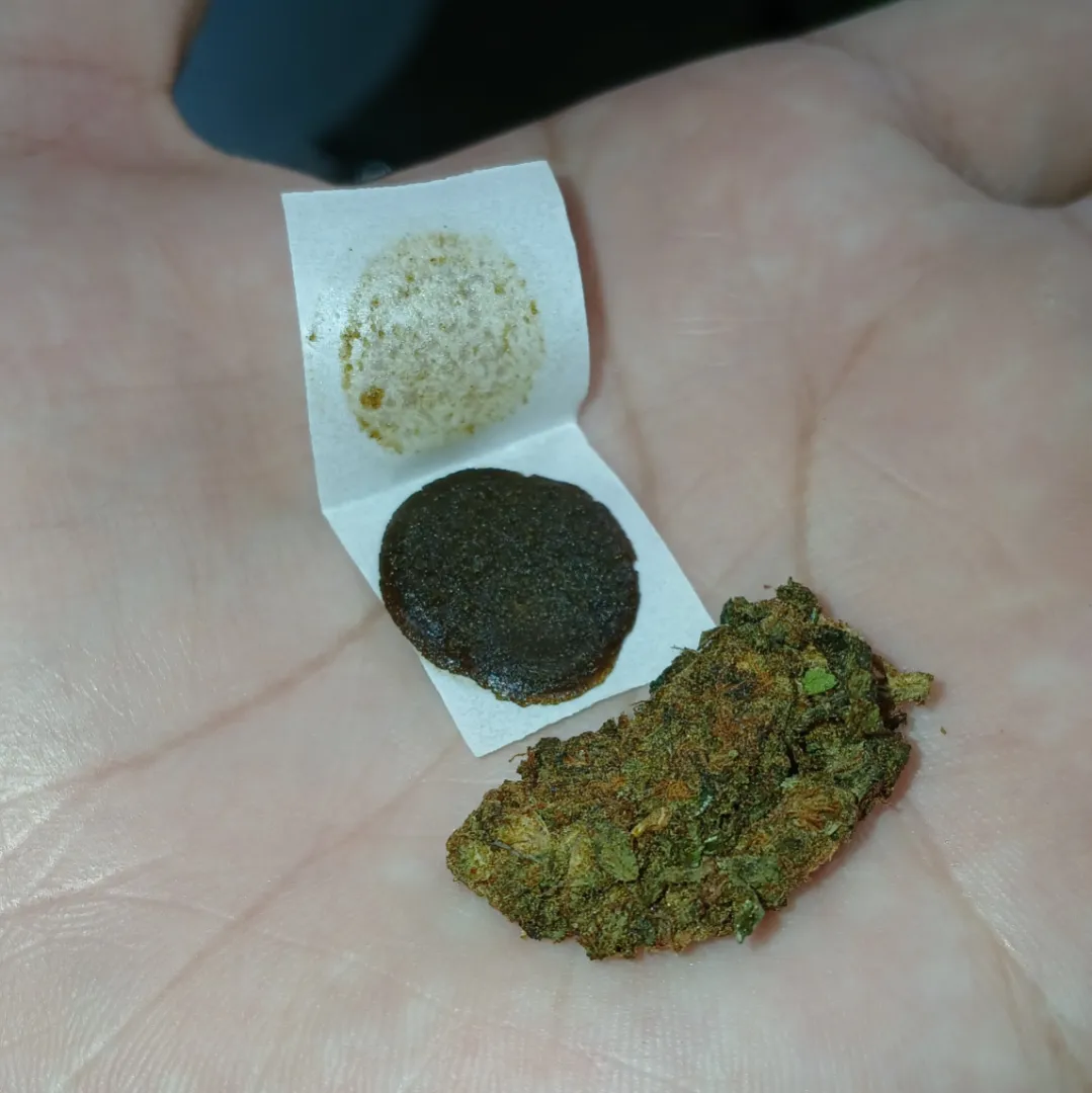 gelo de 50 e flor de 10 posted by Fun-Tip3903