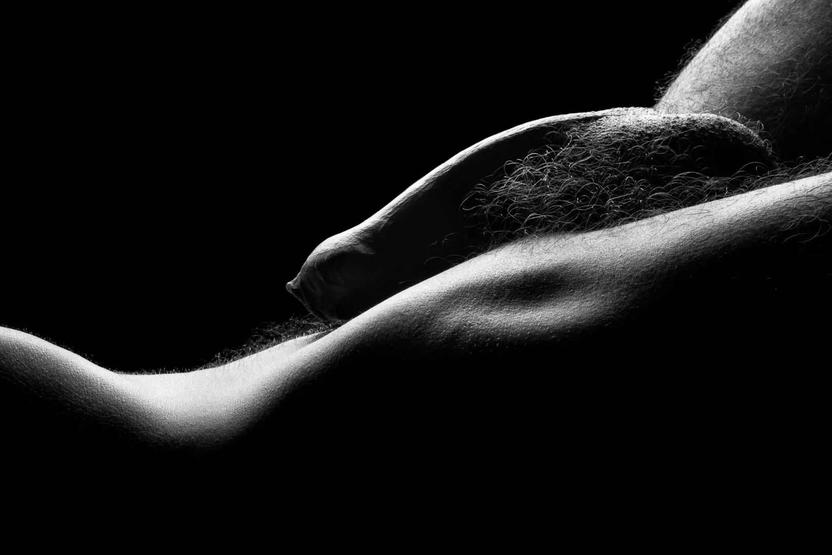 Gentle Curves posted by MoanaArt