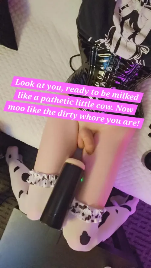 Get ready for your milking  by MoxxiebyProxxie