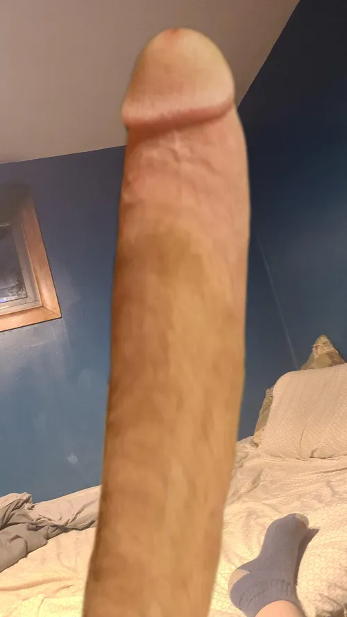 Getting hard to stand eith it hard by willietoo