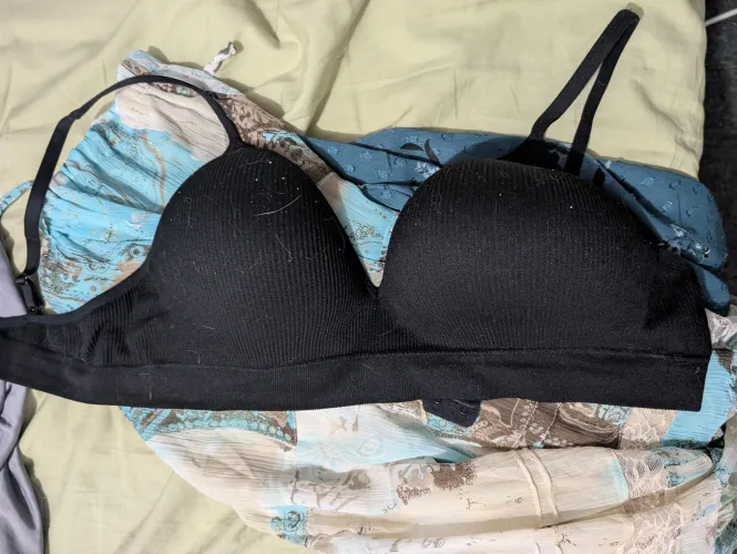 Getting ready to head out by Charming-Impact2492