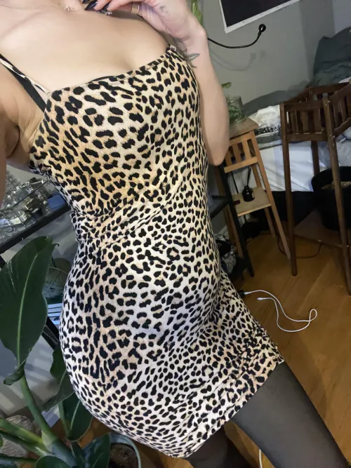 Gillas smala tjejer med leopardklänning? ;) by Common_Honeydew89
