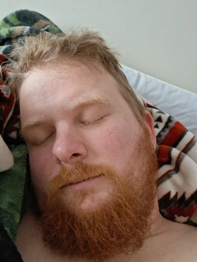 Ginger Bear needs Spoons posted by Typhoon_Dreams_93