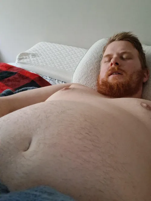 Ginger Cub ready to cuddle by Typhoon_Dreams_93