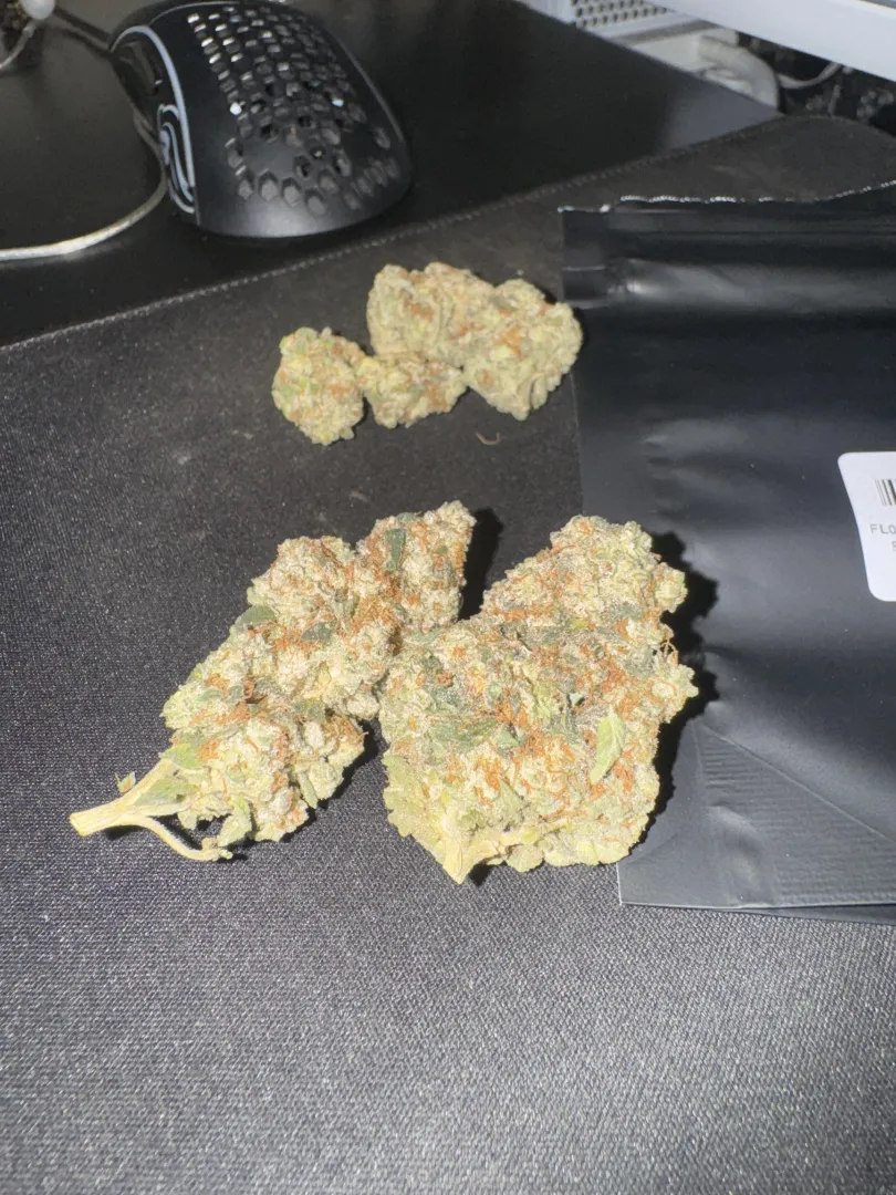 Girl Scout Cookies posted by paul_shots