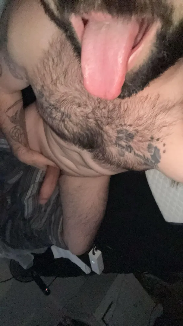 Girls which one would you ride first posted by Minute_Reception_412