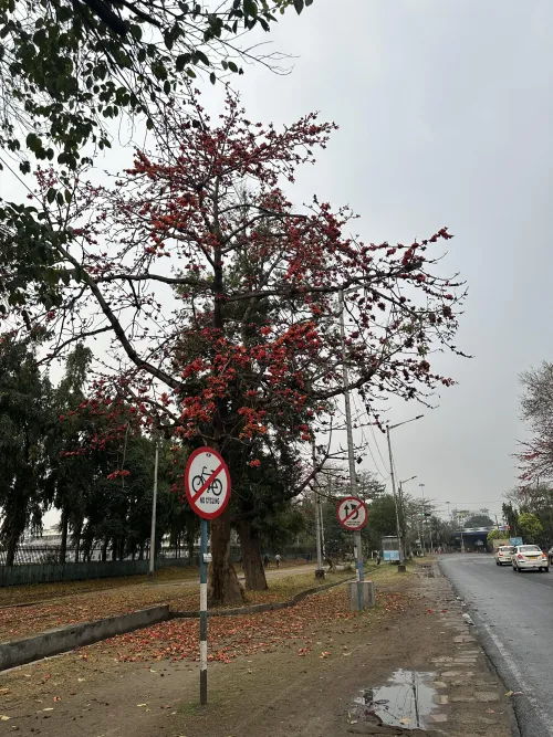 Girls with dirty kink....lets talk and know each other by ProfessionalMean7518