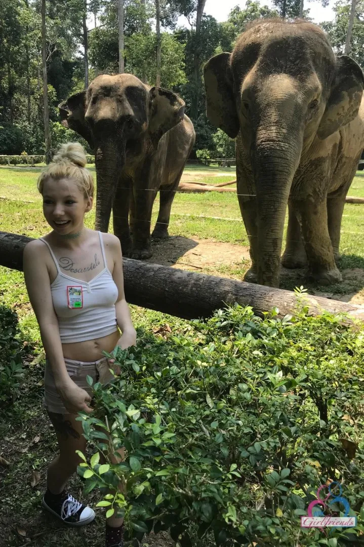 Give it a title posted by konan-3158