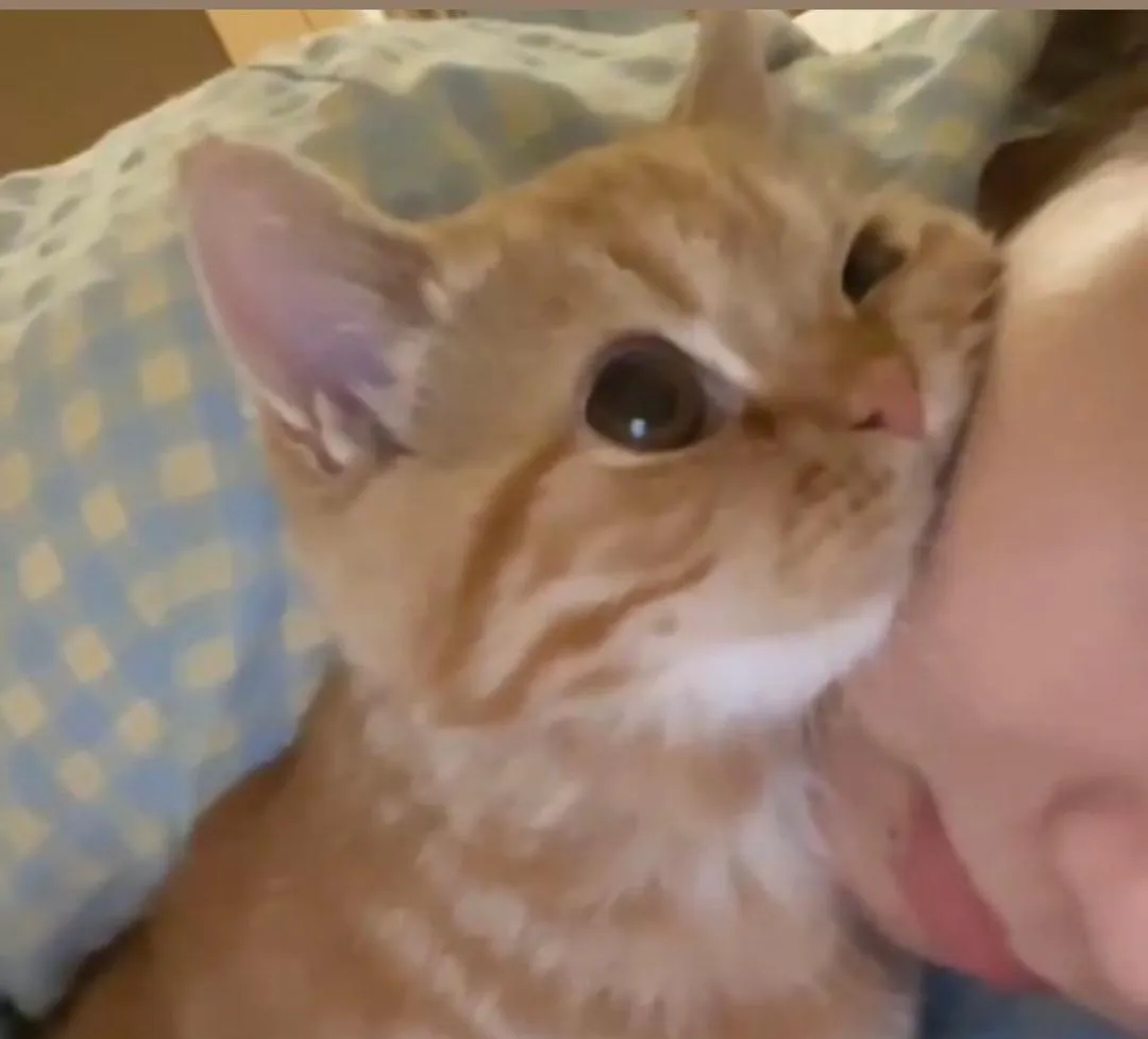 Give me some not so popular glow up tios, I've done the basics posted by Much-Excitement-5134