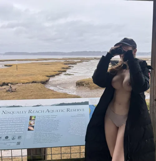 Give me your bird watching / boob / tit puns by Banana_Barbarella_