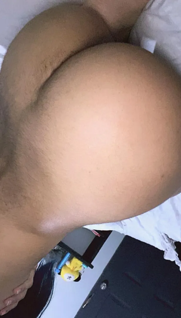 Give tasks that a puppy should do, pls dont make it too complicated or my brain cant comprehend posted by xenoxage