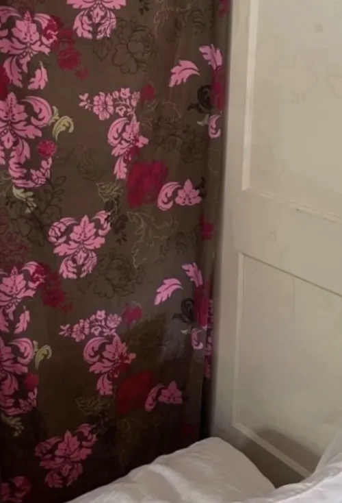 Glorysheet today. Columbia. Be in decent shape and disease free. by cey1989