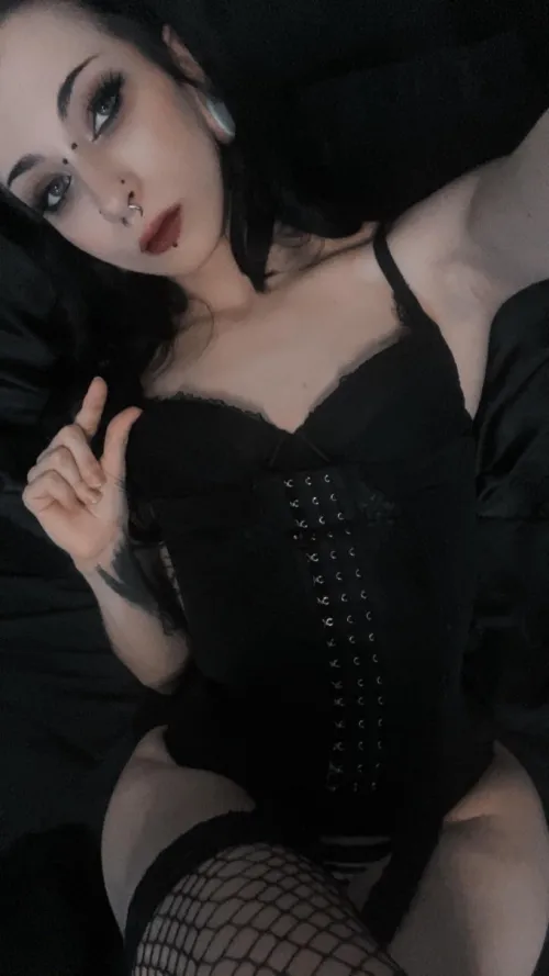 Good boys check in  by Life-Champion-9304