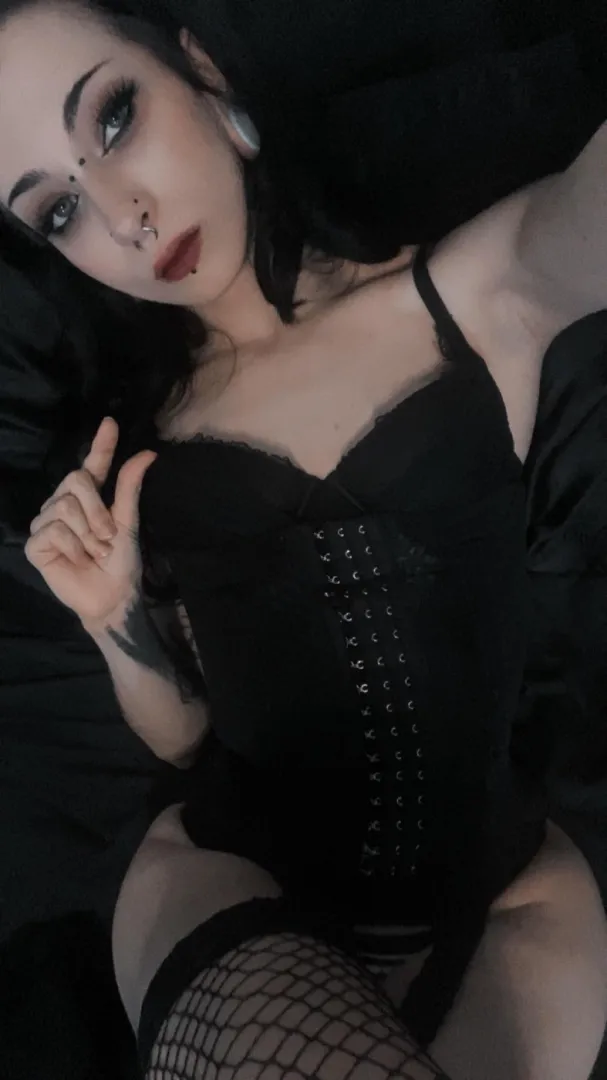 Good boys check in  posted by Life-Champion-9304