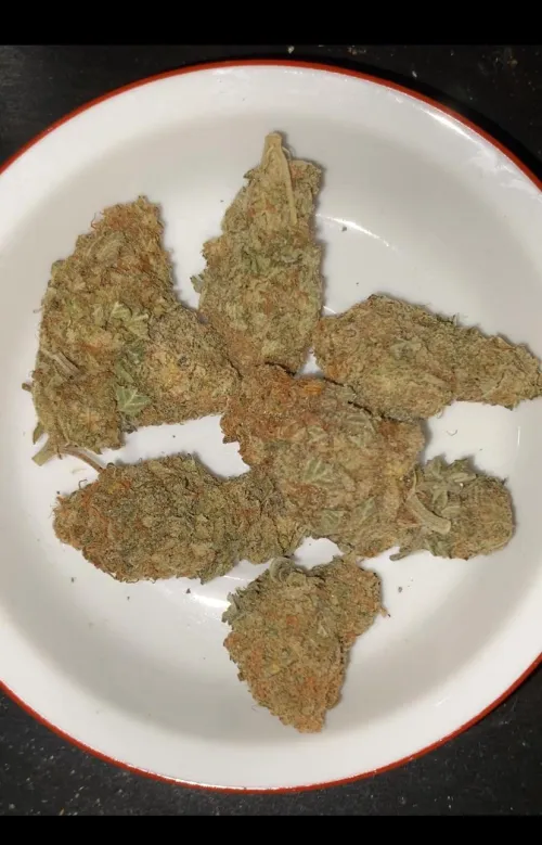 Good bud by Present_Session_1801