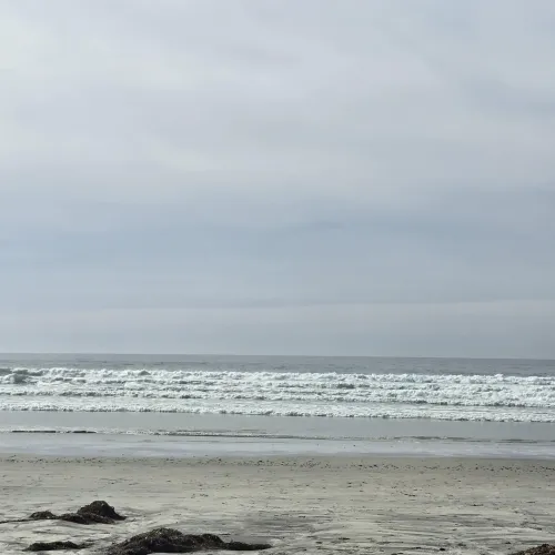 Good day by EducationalMood2898