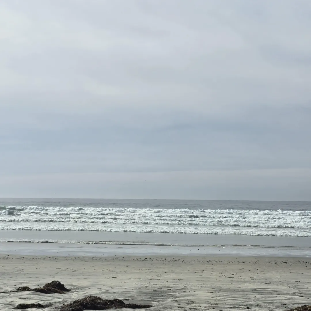 Good day posted by EducationalMood2898