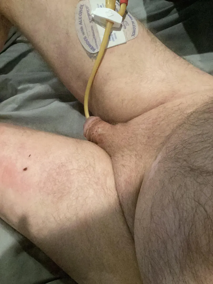 Good morning 1st day of Spring posted by No-Debate-7953