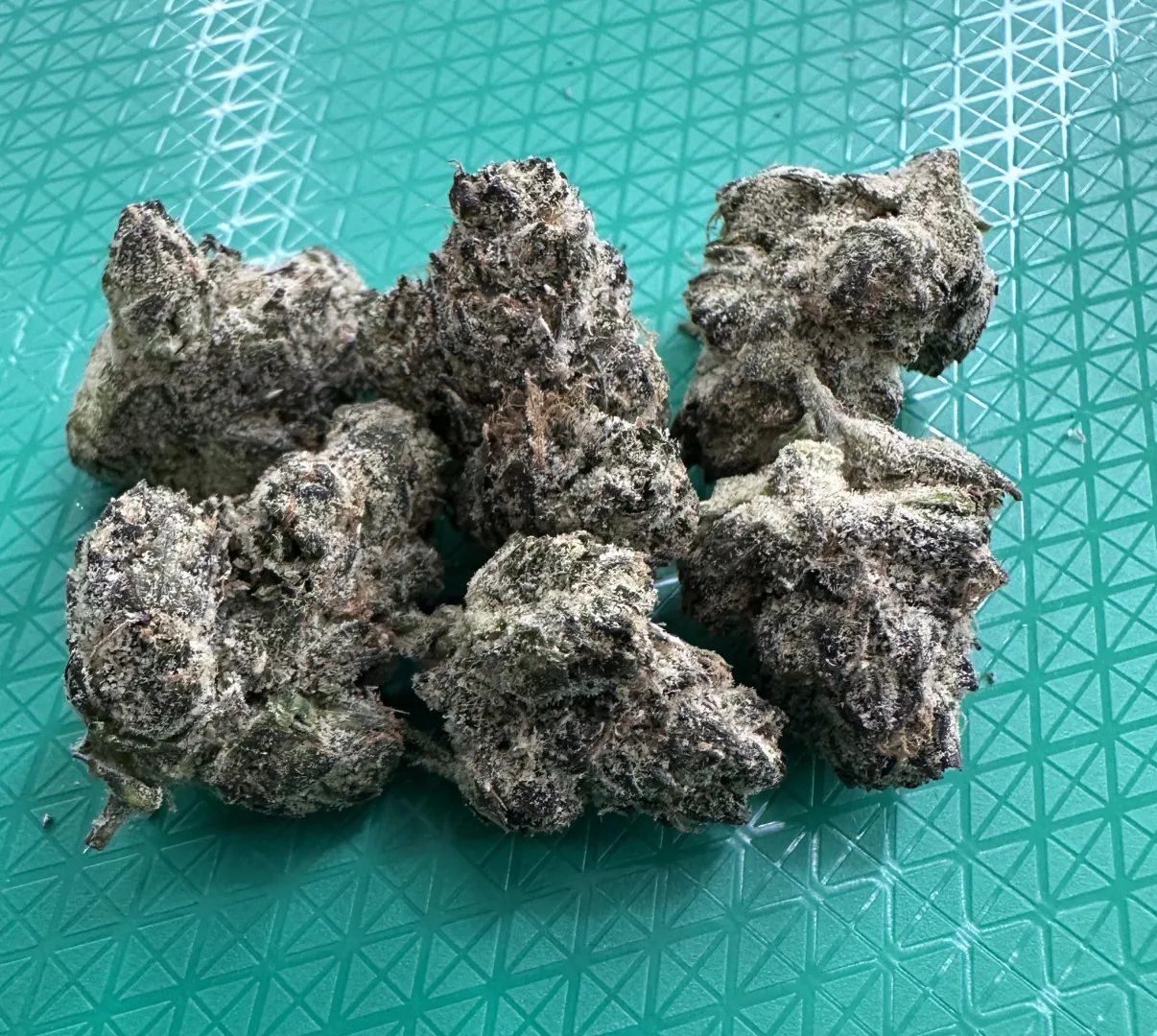 Good morning!  N Dallas posted by clouddev90