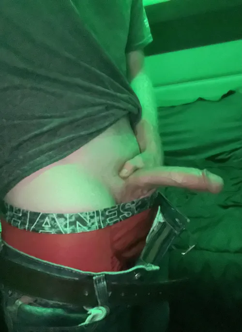 Goodlettsville hotel by Worried-Pollution926