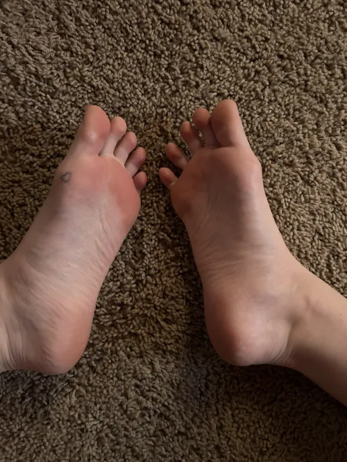 Goodmorning from my soles by AdDefiant4387