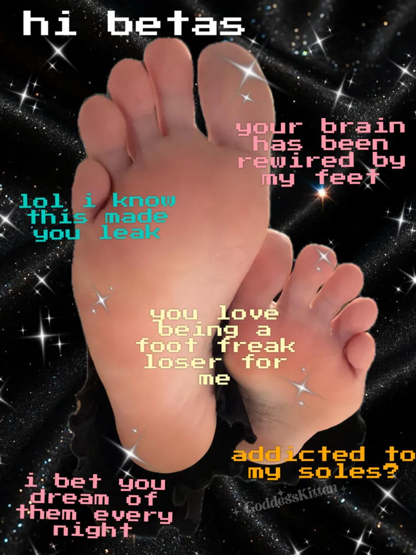 Goodnight or Good morning Gooners  Say “thank you, Kitten”. posted by sexykitten421