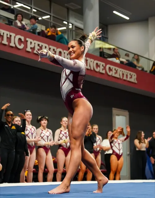 Gophers by agrowander16