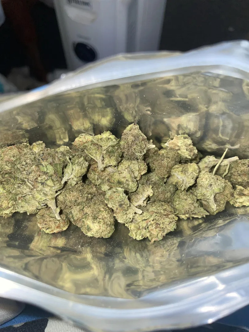 Gorilla glue (more Tsb) posted by Rude_Invite_5422