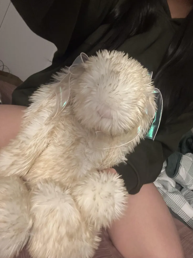 got a new huge stuffie  posted by stuffiestars