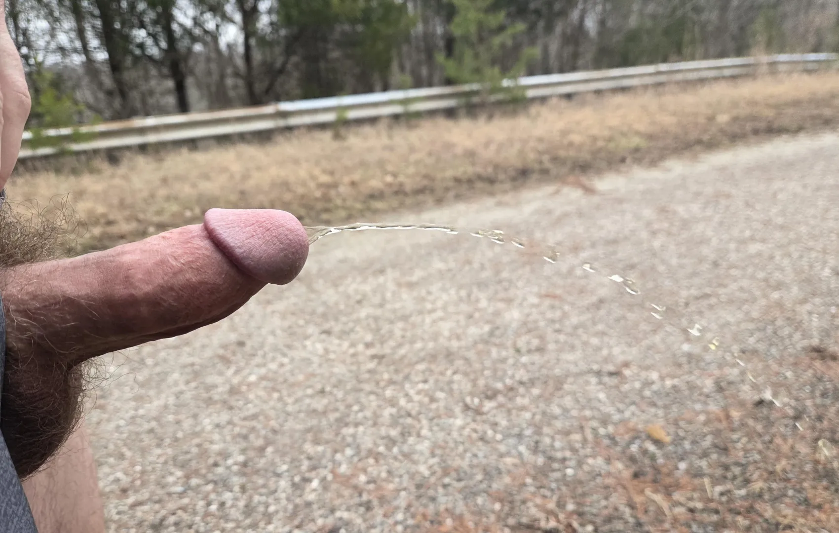 Got hard while pissing on the trail posted by SalamanderJust7842