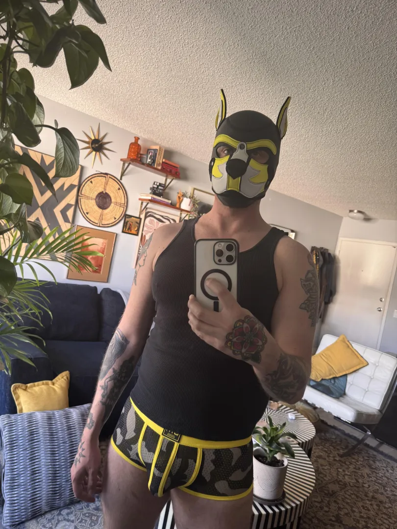 Got some new boxers today posted by LuciferCakes