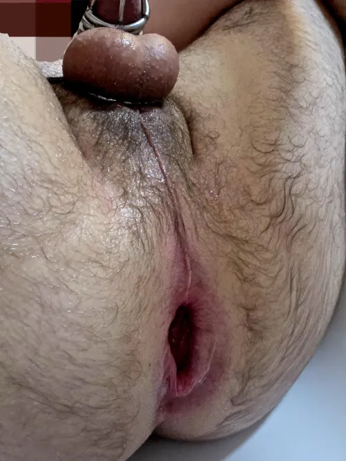 Gotta keep 'em gaping  DMs open by kinkysecondacc